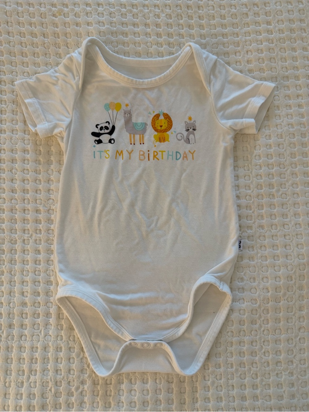 Little Sleepies Party Animal Birthday Onesie